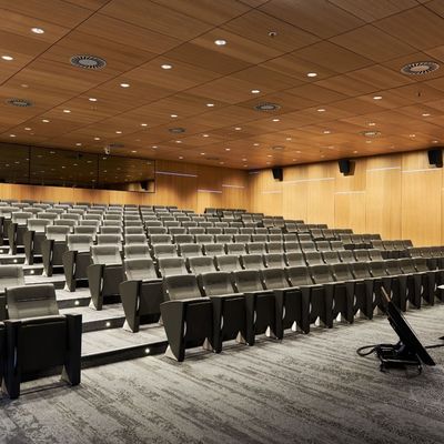 Panel Akustik Mikro Perforasi Sistem Lantai Penyerapan Suara Dan Dekorasi